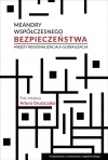 Meandry współczesnego bezpieczeństwa - zdjęcie