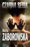 Gwiazdozbiór - zdjęcie