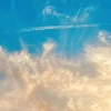 It's The End Of The World But It's A Beautiful Day - zdjęcie