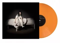 HIT ME HARD AND SOFT (ANNIV. SPLATTER LP), Winyl, zdjęcie 2