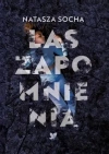Las zapomnienia - zdjęcie