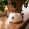 Lampka nocna LED kotek - zdjęcie