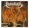 Morbid Visions / Bestial Devastation - zdjęcie