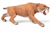 Smilodon - zdjęcie