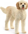 Farm World. SLH13939. Goldendoodle - zdjęcie