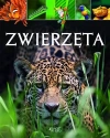 Zwierzęta - zdjęcie