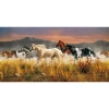 Puzzle 13200 elementów. High Quality Collection. Konie - zdjęcie