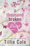 A Thousand Broken Pieces - zdjęcie