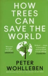 How Trees Can Save the World - zdjęcie