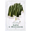Lato w Mrocznem - zdjęcie