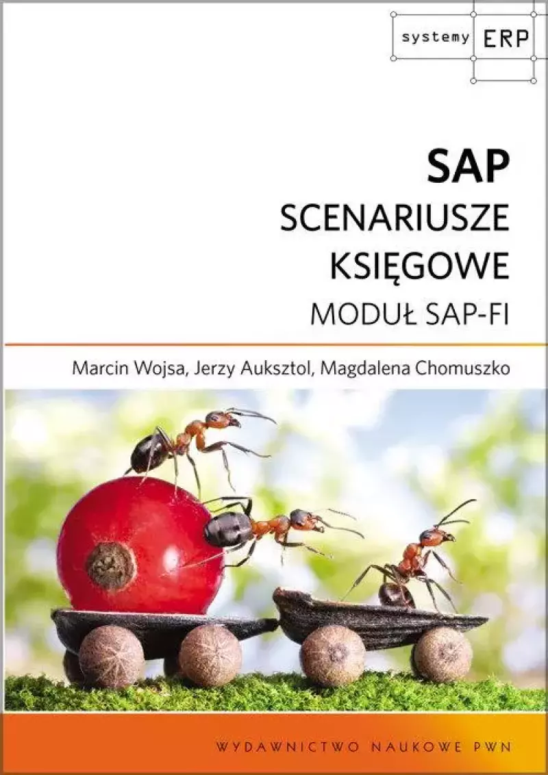 SAP. Scenariusze księgowe. Moduł SAP-FI SAP. Scenariusze księgowe. Moduł SAP-FI