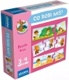 Co robi miś? - zdjęcie