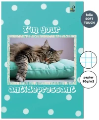 Zeszyt A4 32k. kratka 90g BF Cats, Bee-Bee, zdjęcie 3