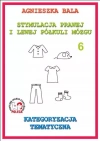 Stymulacja prawej i lewej półkuli mózgu. Część 6. Kategoryzacja tematyczna - zdjęcie