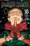 Jujutsu Kaisen. Vol. 30 - zdjęcie