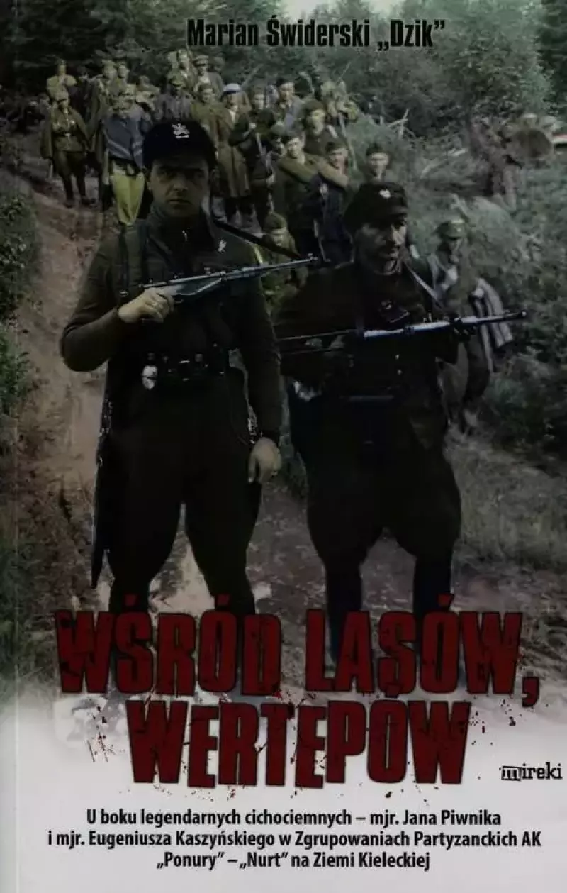 Wśród lasów, wertepów