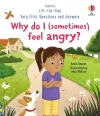 Very First Questions and Answers: Why do I (sometimes) feel angry? - zdjęcie