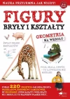 Figury, bryły, kształty. Geometria na wesoło - zdjęcie