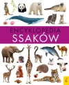 Encyklopedia ssaków - zdjęcie