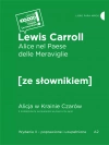 Alice nel Paese delle Meraviglie / Alicja w krainie czarów z podręcznym słownikiem włosko-polskim - zdjęcie