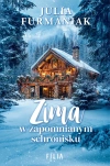 Zima w zapomnianym schronisku - zdjęcie