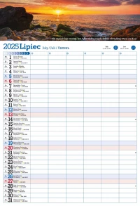 Kalendarz 2025 PLANER ścienny do notatek ORGANIZER, zdjęcie 8