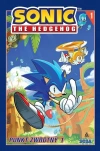 Sonic The Hedgehog. Tom 1. Punkt Zwrotny, część 1 - zdjęcie