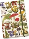 Notatnik ozdobny A5 STNOTE 113 Las grzybów - zdjęcie