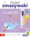 Pisaki zmazywaki. Liczenie - zdjęcie