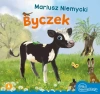 Byczek - zdjęcie