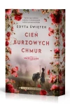 Cień burzowych chmur (barwione brzegi) - zdjęcie