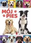 Mój pies - zdjęcie