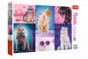 Puzzle 1000 elementów. Super cats, neonowe - zdjęcie