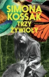 Trzy żywioły - zdjęcie