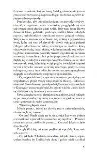 Nad Niemnem, zdjęcie 9