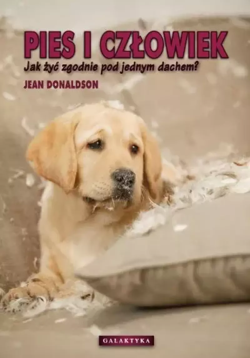 Pies i człowiek Pies i człowiek