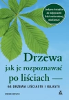 Drzewa. Jak je rozpoznawać po liściach - zdjęcie