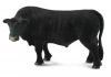 Byk czarny Angus - zdjęcie