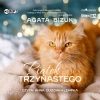 Piątek trzynastego. Audiobook - zdjęcie