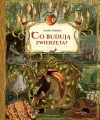 Co budują zwierzęta? - zdjęcie