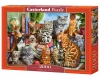 Puzzle 2000 elementów. Dom kotów - zdjęcie