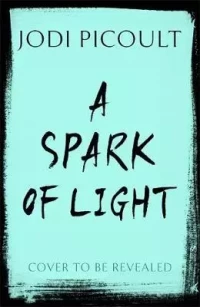 A Spark of Light, zdjęcie 3