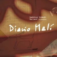 Diario Mali, Winyl, zdjęcie 2