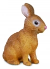 Królik S - zdjęcie