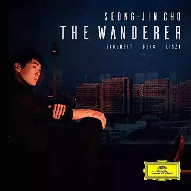 THE WANDERER. Winyl