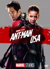 Ant-Man i Osa, DVD - zdjęcie