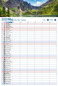Kalendarz 2025 PLANER ścienny do notatek ORGANIZER, zdjęcie 6