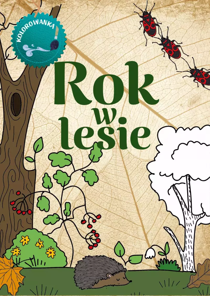 Rok w lesie Kolorowanka Rok w lesie Kolorowanka