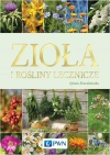 Zioła i rośliny lecznicze - zdjęcie