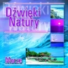 Dźwięki natury, CD - zdjęcie
